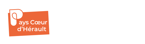 Accueil